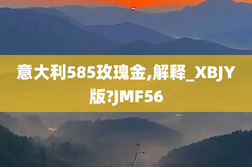 意大利585玫瑰金,解释_XBJY版?JMF56