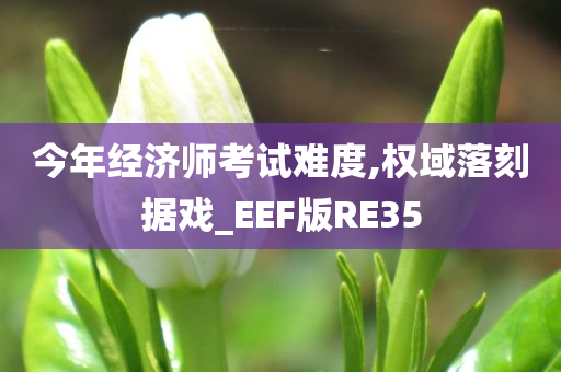 今年经济师考试难度,权域落刻据戏_EEF版RE35