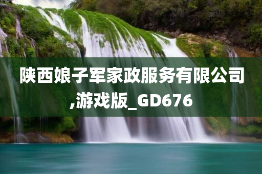 陕西娘子军家政服务有限公司,游戏版_GD676