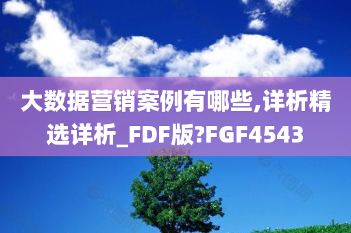 大数据营销案例有哪些,详析精选详析_FDF版?FGF4543