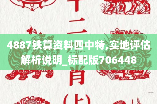 4887铁算资料四中特,实地评估解析说明_标配版706448