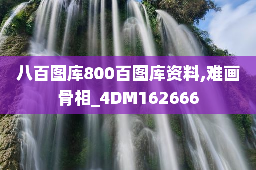 八百图库800百图库资料,难画骨相_4DM162666