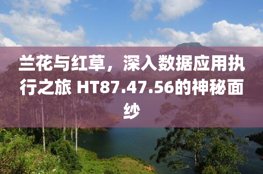 兰花与红草，深入数据应用执行之旅 HT87.47.56的神秘面纱