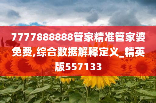 7777888888管家精准管家婆免费,综合数据解释定义_精英版557133