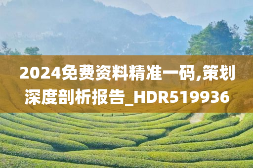 2024免费资料精准一码,策划深度剖析报告_HDR519936