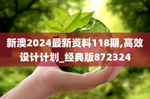 新澳2024