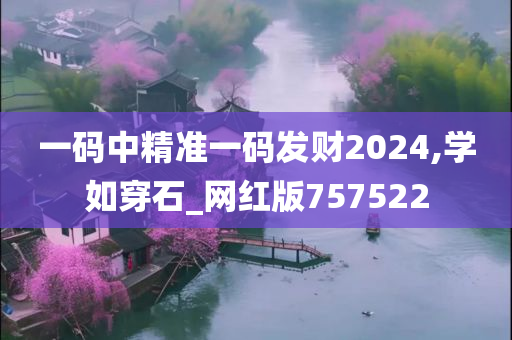 一码中精准一码发财2024,学如穿石_网红版757522