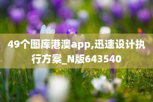 49个图库港澳app,迅速设计执行方案_N版643540