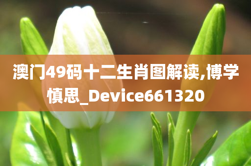 澳门49码十二生肖图解读,博学慎思_Device661320