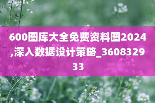 600图库大全免费资料图2024,深入数据设计策略_360832933