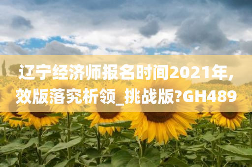 辽宁经济师报名时间2021年,效版落究析领_挑战版?GH489