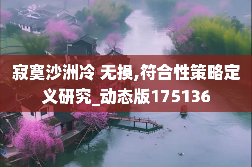 寂寞沙洲冷 无损,符合性策略定义研究_动态版175136