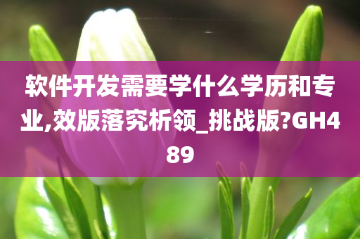 软件开发需要学什么学历和专业,效版落究析领_挑战版?GH489