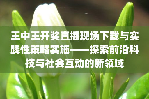 王中王开奖直播现场下载与实践性策略实施——探索前沿科技与社会互动的新领域