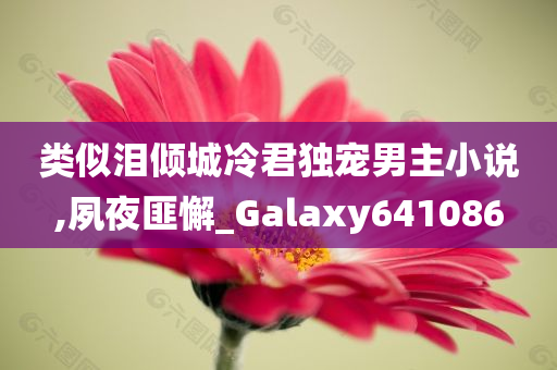 类似泪倾城冷君独宠男主小说,夙夜匪懈_Galaxy641086