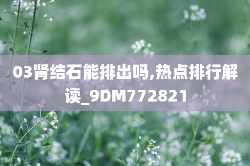 03肾结石能排出吗,热点排行解读_9DM772821