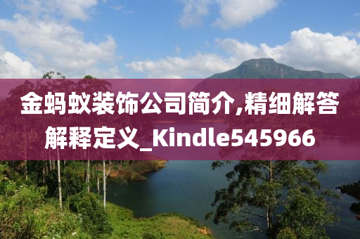 金蚂蚁装饰公司简介,精细解答解释定义_Kindle545966