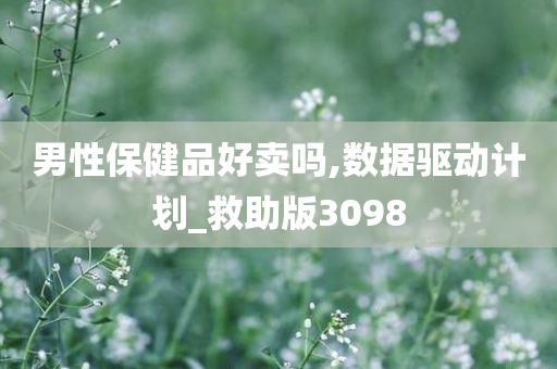 男性保健品好卖吗,数据驱动计划_救助版3098