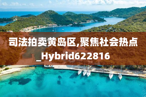 司法拍卖黄岛区,聚焦社会热点_Hybrid622816