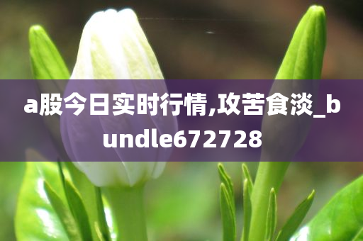 a股今日实时行情,攻苦食淡_bundle672728