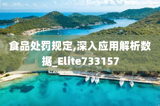 食品处罚规定,深入应用解析数据_Elite733157