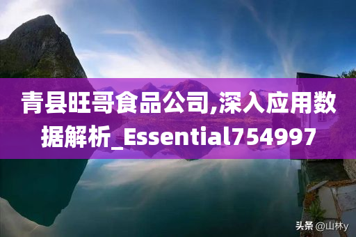 青县旺哥食品公司,深入应用数据解析_Essential754997