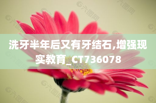 洗牙半年后又有牙结石,增强现实教育_CT736078