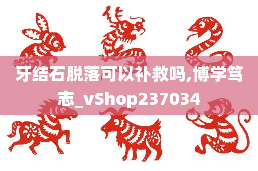 牙结石脱落可以补救吗,博学笃志_vShop237034