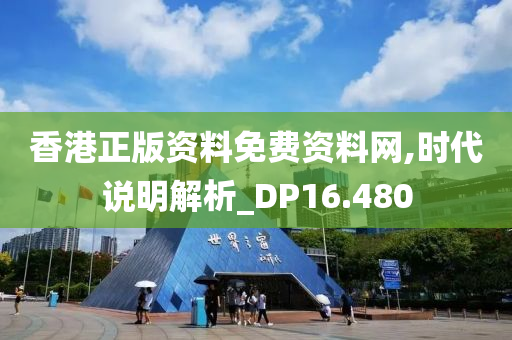 香港正版资料免费资料网,时代说明解析_DP16.480