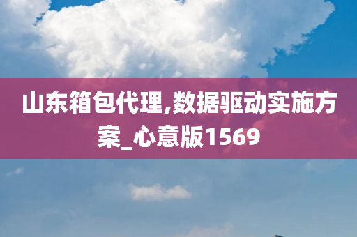 山东箱包代理,数据驱动实施方案_心意版1569