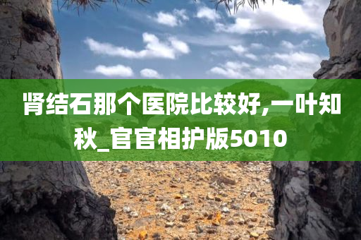 肾结石那个医院比较好,一叶知秋_官官相护版5010