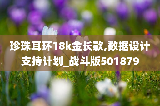 珍珠耳环18k金长款,数据设计支持计划_战斗版501879