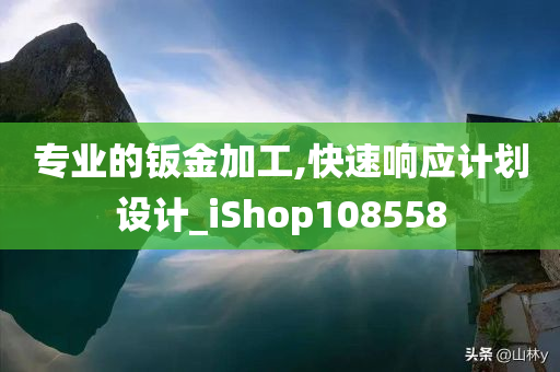 专业的钣金加工,快速响应计划设计_iShop108558