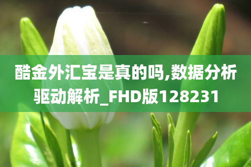 酷金外汇宝是真的吗,数据分析驱动解析_FHD版128231