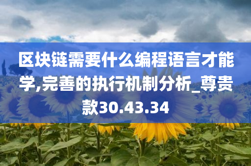 区块链需要什么编程语言才能学,完善的执行机制分析_尊贵款30.43.34