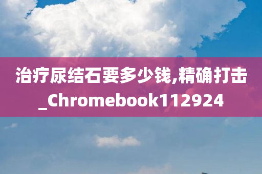 治疗尿结石要多少钱,精确打击_Chromebook112924