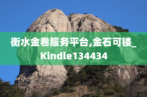 衡水金卷服务平台,金石可镂_Kindle134434