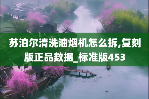 苏泊尔清洗油烟机怎么拆,复刻版正品数据_标准版453