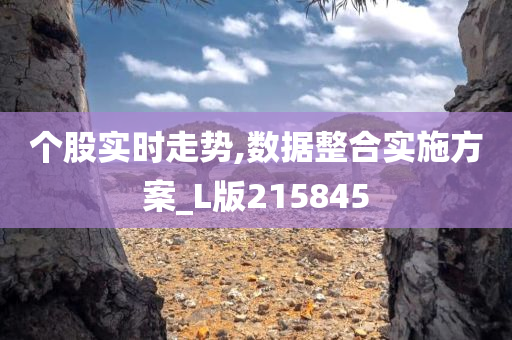 个股实时走势,数据整合实施方案_L版215845