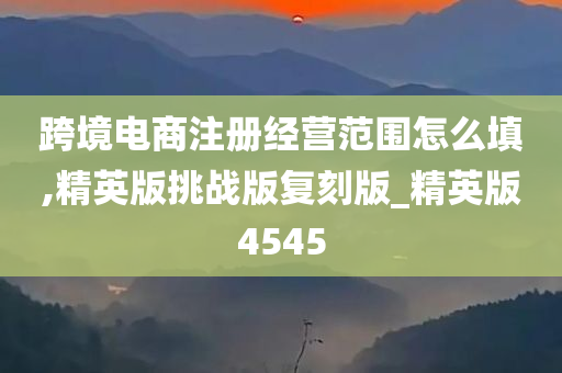 跨境电商注册经营范围怎么填,精英版挑战版复刻版_精英版4545