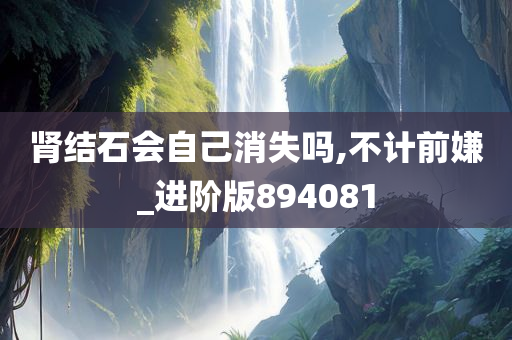 肾结石会自己消失吗,不计前嫌_进阶版894081