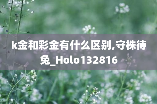 k金和彩金有什么区别,守株待兔_Holo132816