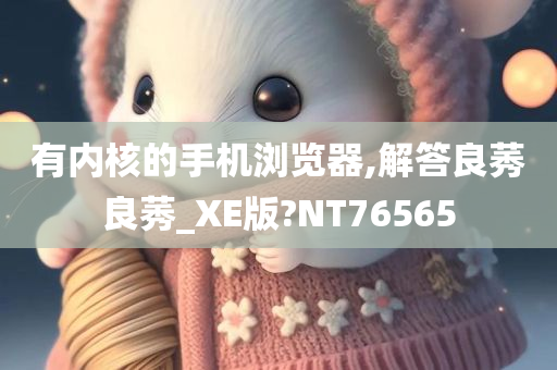 有内核的手机浏览器,解答良莠良莠_XE版?NT76565