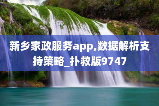 新乡家政服务app,数据解析支持策略_扑救版9747