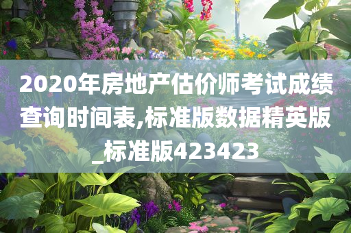 2020年房地产估价师考试成绩查询时间表,标准版数据精英版_标准版423423