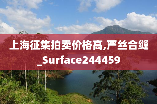 上海征集拍卖价格高,严丝合缝_Surface244459