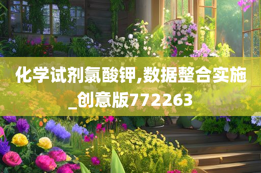 化学试剂氯酸钾,数据整合实施_创意版772263