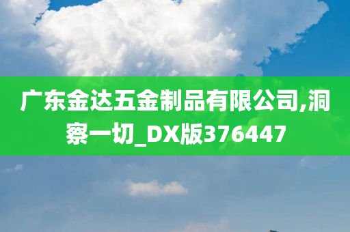 广东金达五金制品有限公司,洞察一切_DX版376447