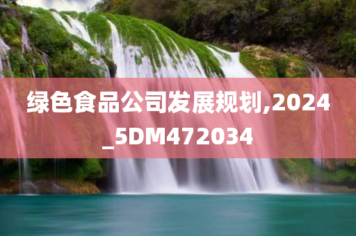 绿色食品公司发展规划,2024_5DM472034