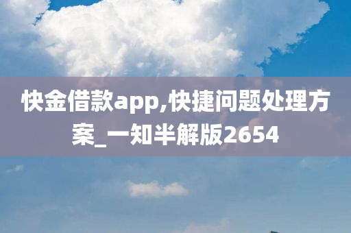 快金借款app,快捷问题处理方案_一知半解版2654